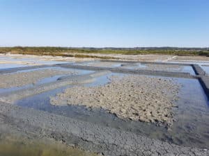 marais salants de guérande